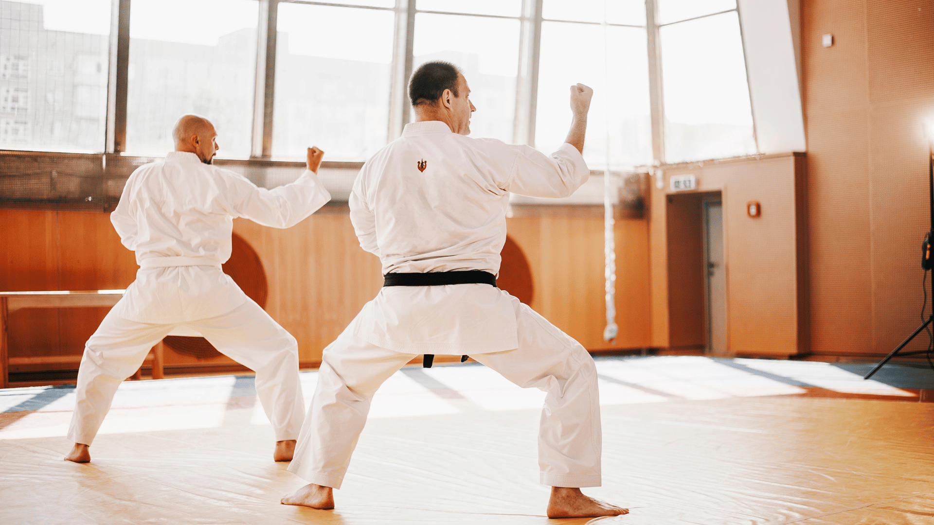 Σχολές πολεμικών τεχνών Demo